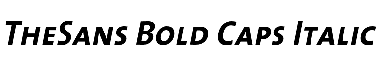 TheSans Bold Caps Italic font preview