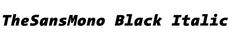 TheSansMono Black Italic font preview