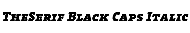 TheSerif Black Caps Italic font preview