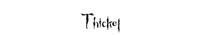 Thicket font preview