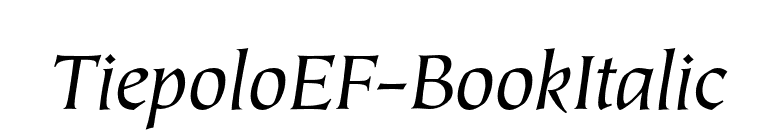 TiepoloEF-BookItalic font preview