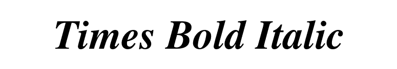 Times Bold Italic font preview