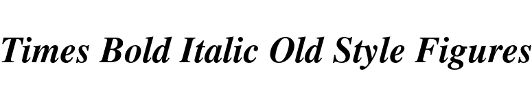 Times Bold Italic Old Style Figures font preview
