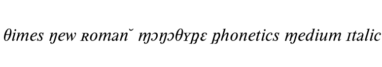 Times New Roman* MONOTYPE Phonetics Medium Italic font preview