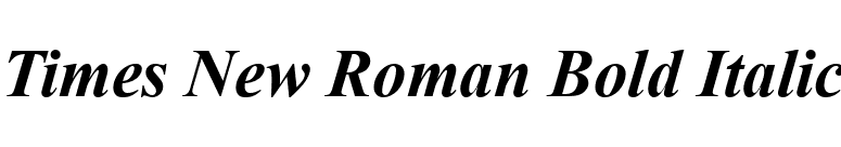Times New Roman Bold Italic font preview