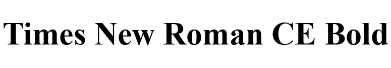 Times New Roman CE Bold font preview