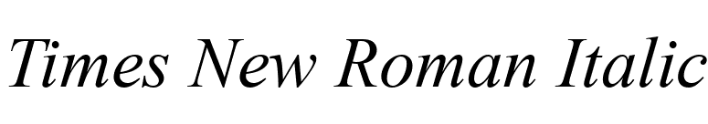 Times New Roman Italic font preview