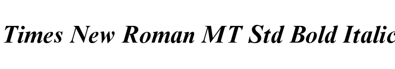 Times New Roman MT Std Bold Italic font preview
