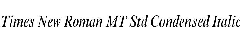 Times New Roman MT Std Condensed Italic font preview