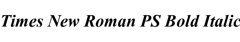 Times New Roman PS Bold Italic font preview