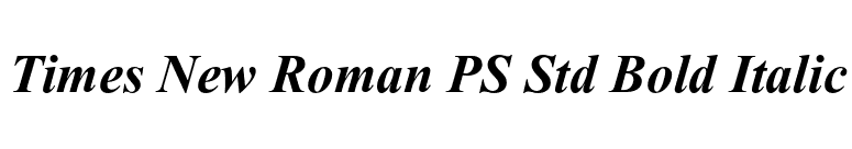 Times New Roman PS Std Bold Italic font preview