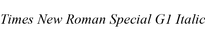 Times New Roman Special G1 Italic font preview
