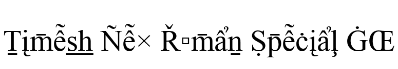 Times New Roman Special G2 font preview