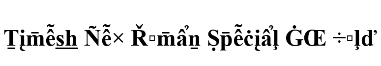 Times New Roman Special G2 Bold font preview