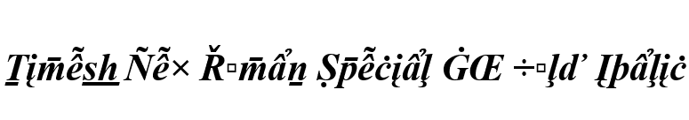 Times New Roman Special G2 Bold Italic font preview