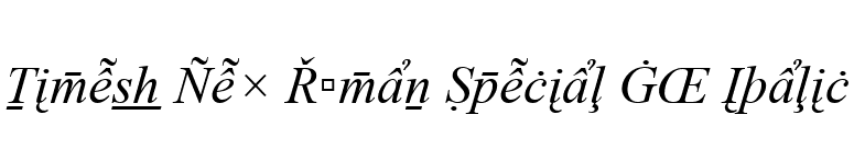 Times New Roman Special G2 Italic font preview