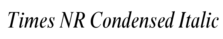 Times NR Condensed Italic font preview