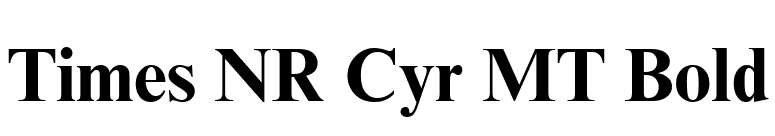 Times NR Cyr MT Bold font preview