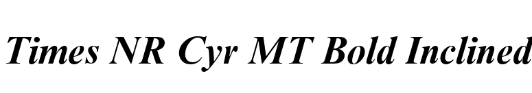 Times NR Cyr MT Bold Inclined font preview