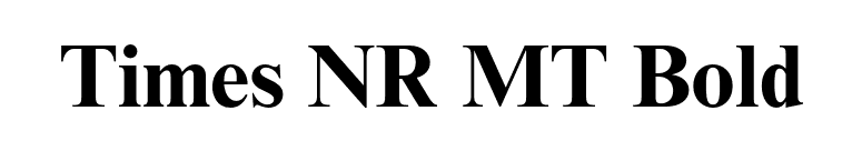 Times NR MT Bold font preview