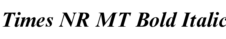 Times NR MT Bold Italic font preview