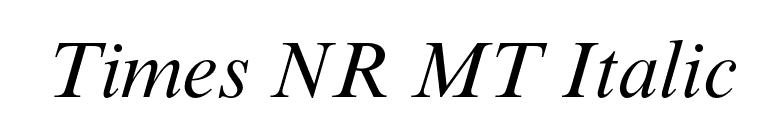 Times NR MT Italic font preview