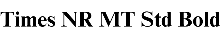 Times NR MT Std Bold font preview