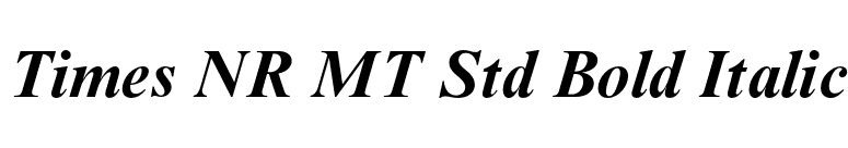 Times NR MT Std Bold Italic font preview