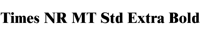 Times NR MT Std Extra Bold font preview