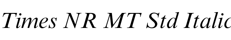 Times NR MT Std Italic font preview