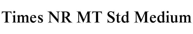 Times NR MT Std Medium font preview