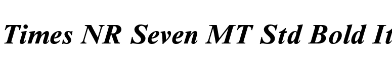 Times NR Seven MT Std Bold It font preview
