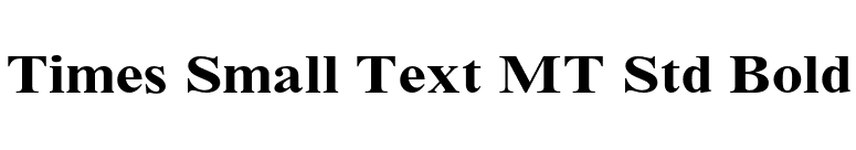Times Small Text MT Std Bold font preview
