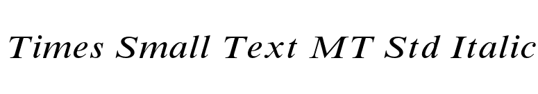 Times Small Text MT Std Italic font preview