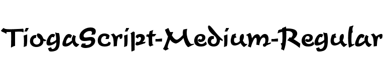 TiogaScript-Medium-Regular font preview