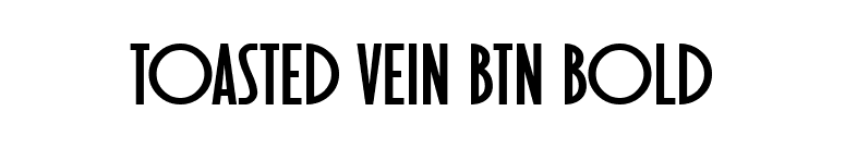 Toasted Vein BTN Bold font preview