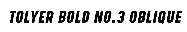 Tolyer Bold no.3 Oblique font preview