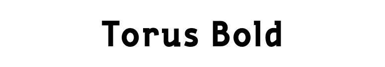 Torus Bold font preview