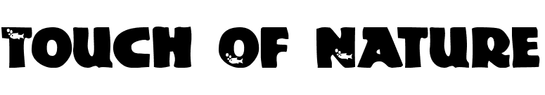 Touch Of Nature font preview