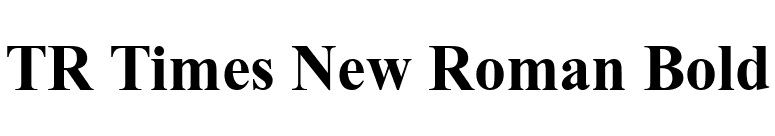 TR Times New Roman Bold font preview
