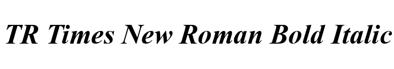 TR Times New Roman Bold Italic font preview