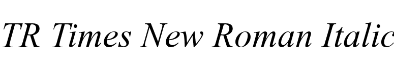 TR Times New Roman Italic font preview