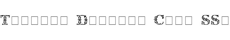 Trellis Display Caps SSi font preview
