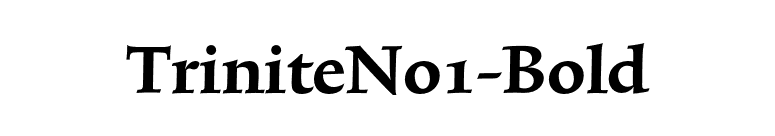 TriniteNo1-Bold font preview