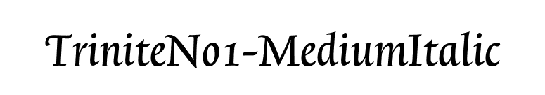 TriniteNo1-MediumItalic font preview