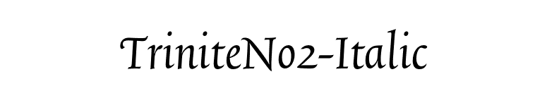 TriniteNo2-Italic font preview