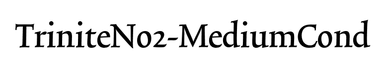 TriniteNo2-MediumCond font preview