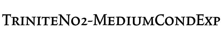 TriniteNo2-MediumCondExp font preview