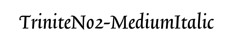 TriniteNo2-MediumItalic font preview
