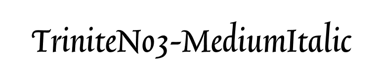 TriniteNo3-MediumItalic font preview